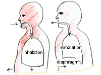 Abdominal diaphragmatic breathing